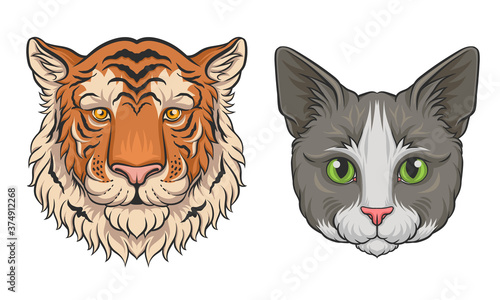 Cat and Tiger Muzzle with Fur Vector Set