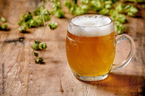 Classic glass mug of fresh cold foamy lager beer with green hop cones behind over wooden texture background. Copy space