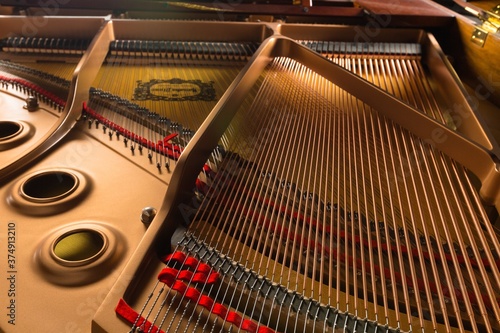 Inside of the Grand Piano