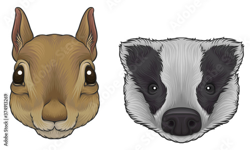 Squirrel and Badger Muzzle with Fur Vector Set
