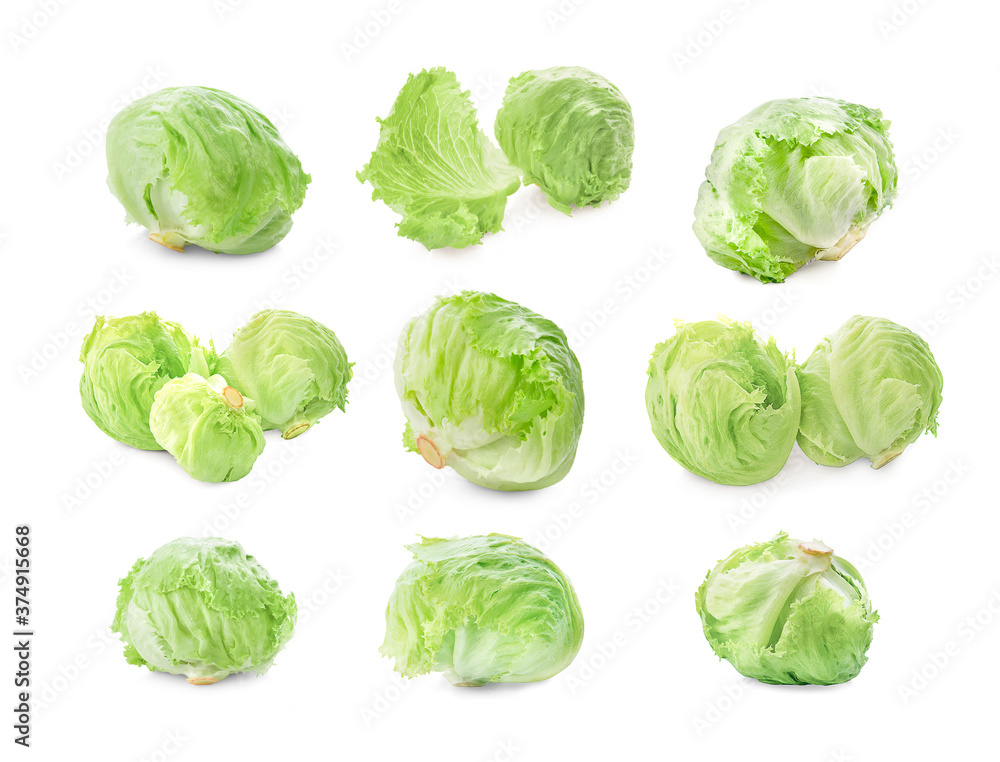Green Iceberg lettuce on White Background Green Iceberg lettuce on White Background