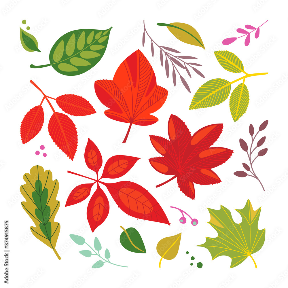 Vector set with autumn leaves