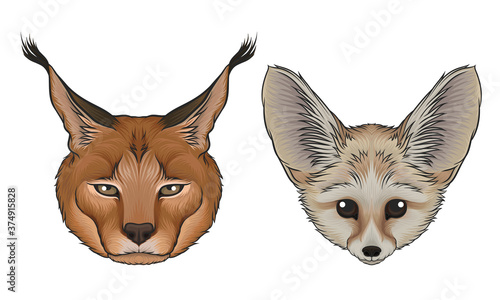 Fennec Fox and Lynx Muzzle with Fur Vector Set