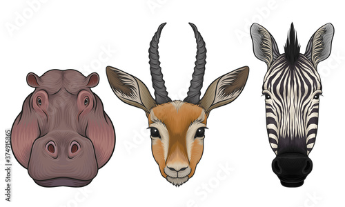 Furry African Animal Muzzle Isolated on White Background Vector Set