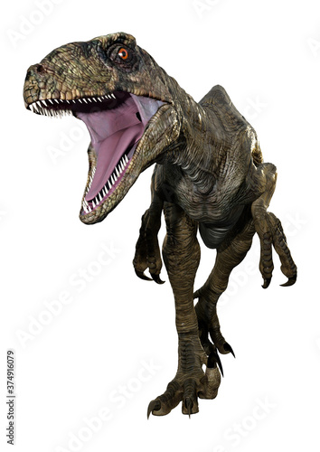3D Rendering Dinosaur Deinonychus on White © photosvac
