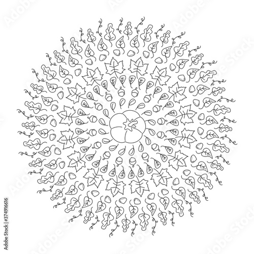 Cute hand drawn doodle black and white mandala vector illustration with autumn leaves, pumpkin, chestnut and acorns