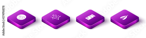 Set Isometric Face with psoriasis or eczema, Medicine pill tablet, bottle and pills and Kidney beans icon. Vector.