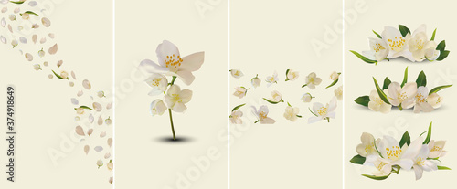 Beautiful Jasmine set for your text or banner. Collection of white blooming jasmine. Banner for beauty product, perfume or medicine. 3d jasmine on yellow background. Set vector illustration.