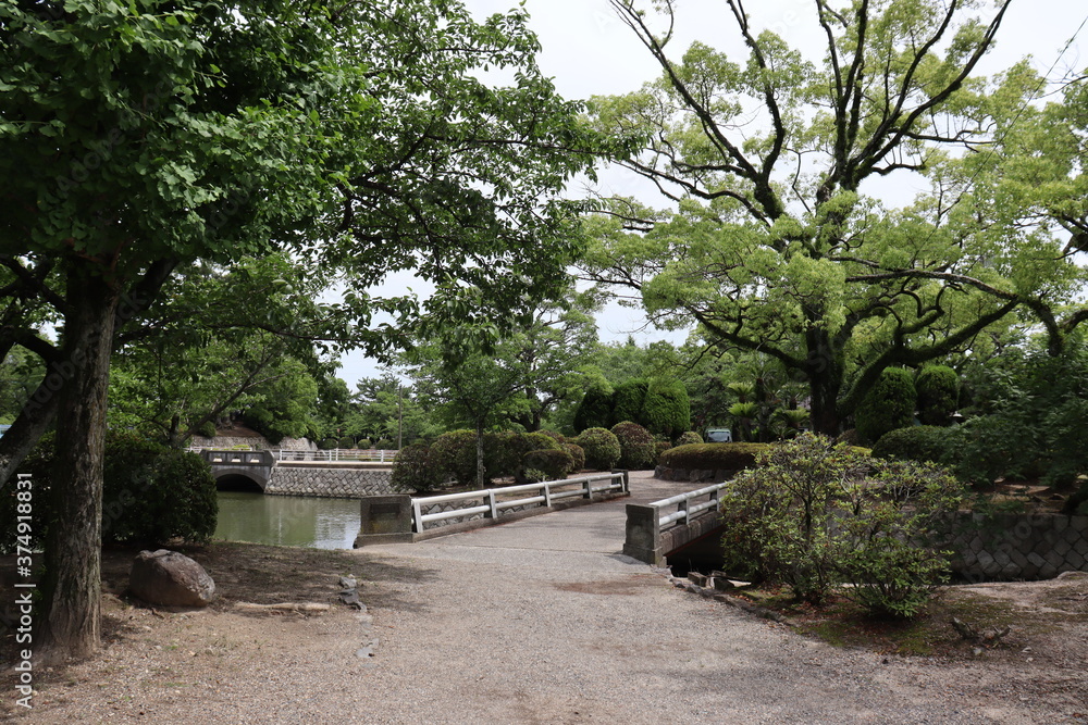 日本の歴史ある樹木