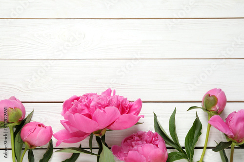 Beautiful pink peonies on white wooden background  flat lay. Space for text