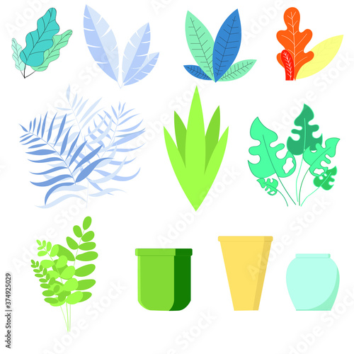 Set of office plants flower pots for business illustrations
