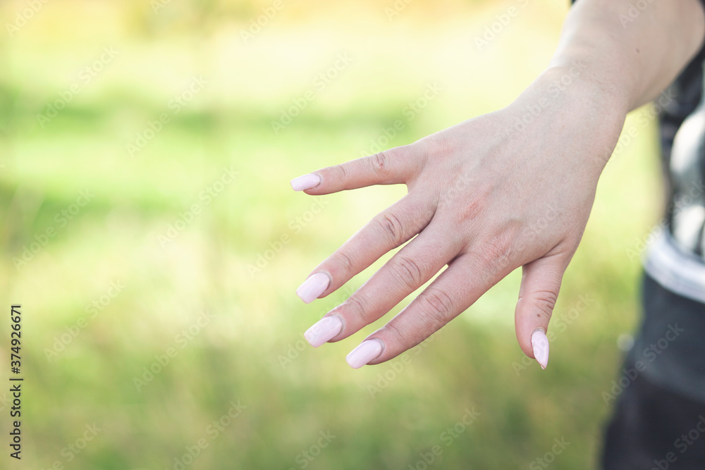 Female hand with professional female manicure with natural perfect french nails