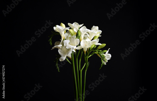 Beautiful white freesia flowers on black background