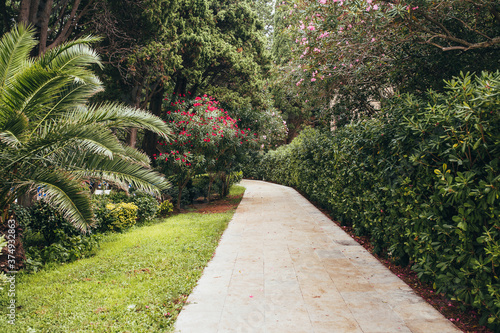 Stone path through a dense garden with shrubs, trees and flowers - road to the sea through Mediterranean flora