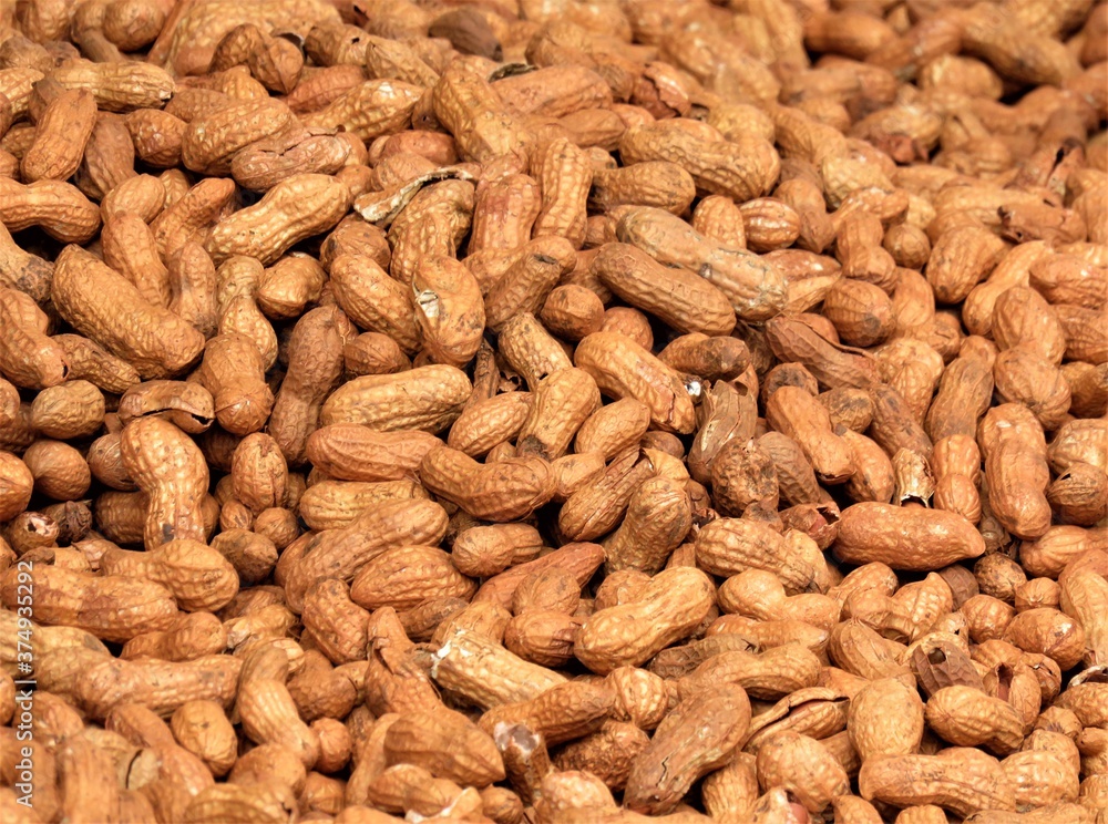 close up of peanuts on the market close up of peanuts on the market