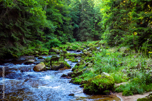 Potok strumień rzeka woda las karkonoski park narodowy karkonosze