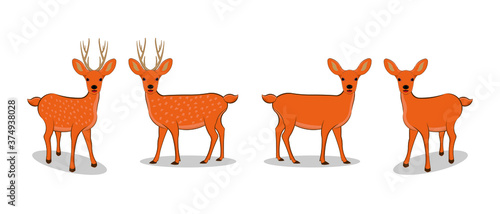 set of cute deer drawing in cartoon vector