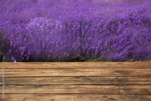 Empty wooden table in fresh lavender field