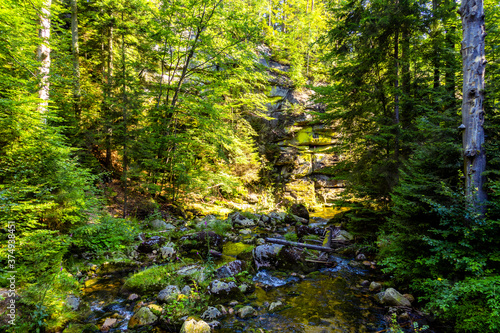 Potok strumień rzeka woda las karkonoski park narodowy karkonosze