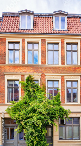 Old house with green bush on the facade in the old town of Wismar.