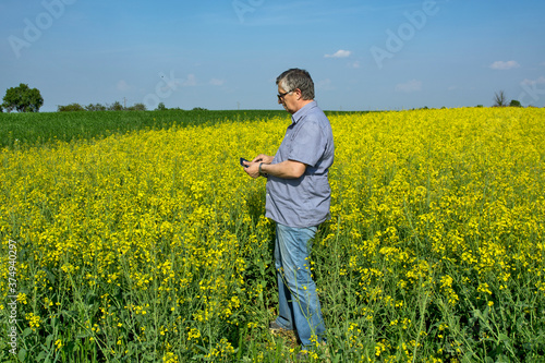 Agronomist inspecting quality of canola field © banedeki1