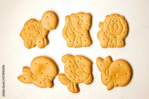 Animal cookies isolated on white background. turtle, tiger, lion, whale, fish
