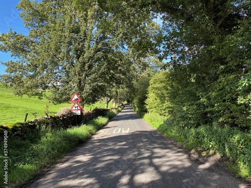 Looking down, Westholme Bank, with dry stone walls, wild plants and trees near, Burton cum Walden, Leyburn, UK photo