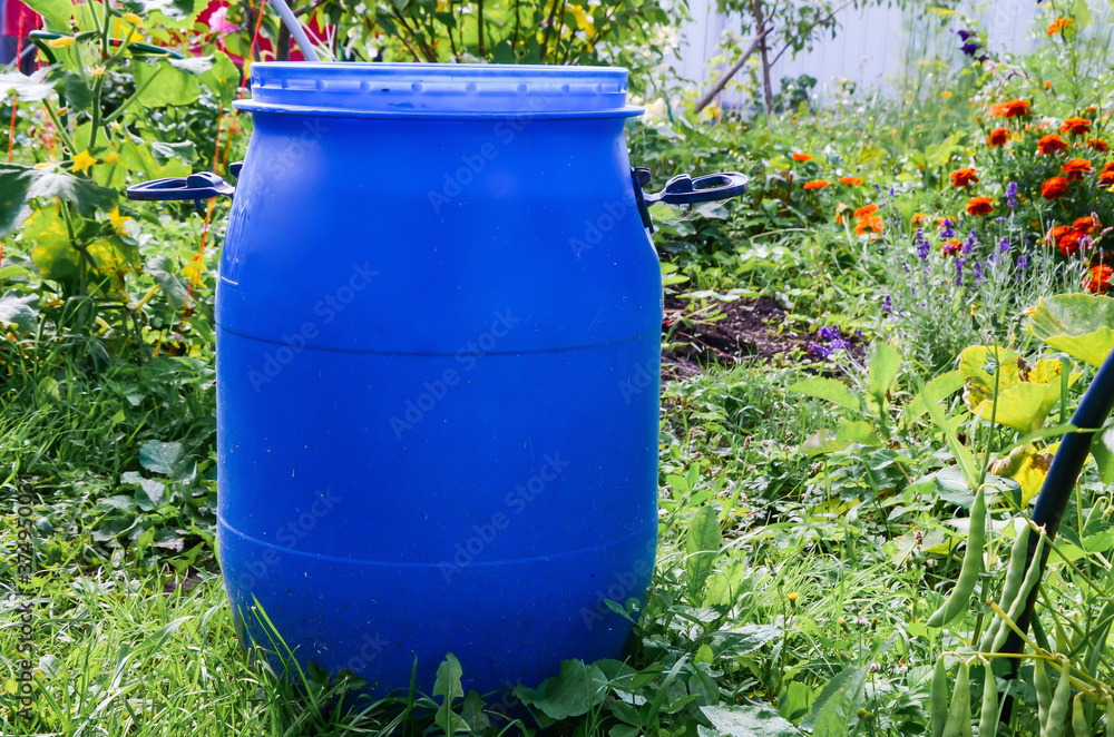 Large blue plastic garden barrel with handles outdoors in the garden. Rainwater tank in the garden on a sunny summer day. Objects in the garden. Large blue plastic garden barrel with handles outdoors in the garden. Rainwater tank in the garden on a sunny summer day. Objects in the garden.