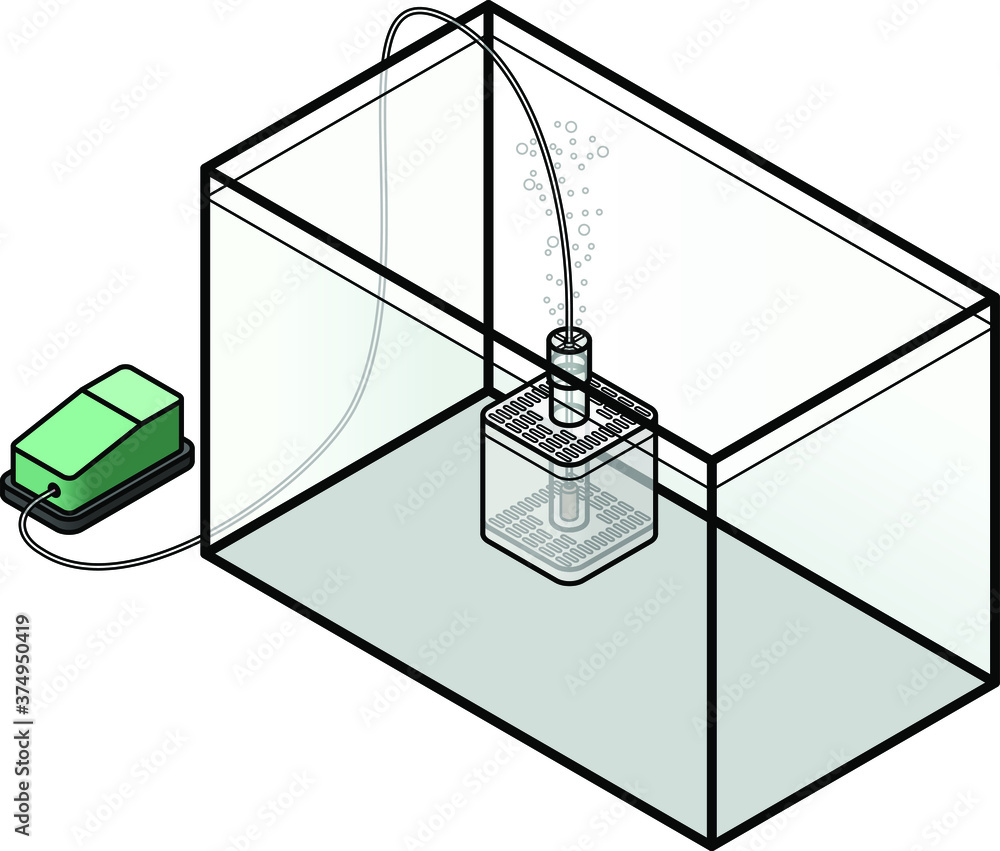 An aquarium filter: simple internal box filter powered by an air stone  connected to an air pump. Stock Vector | Adobe Stock