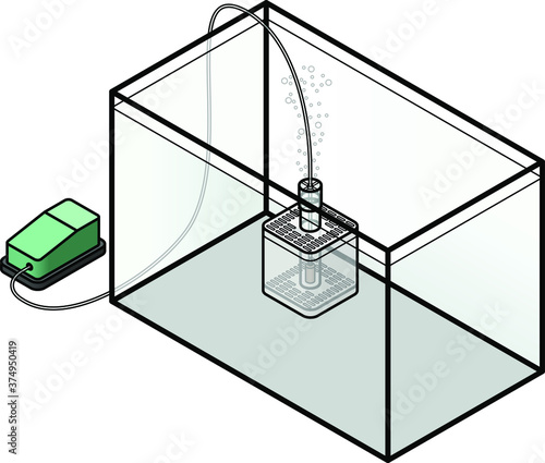 An aquarium filter: simple internal box filter powered by an air stone connected to an air pump.