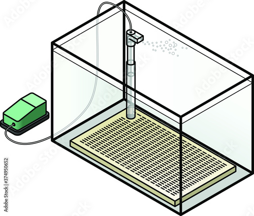 An aquarium filter: under-gravel filter powered by an air stone connected to an air pump.