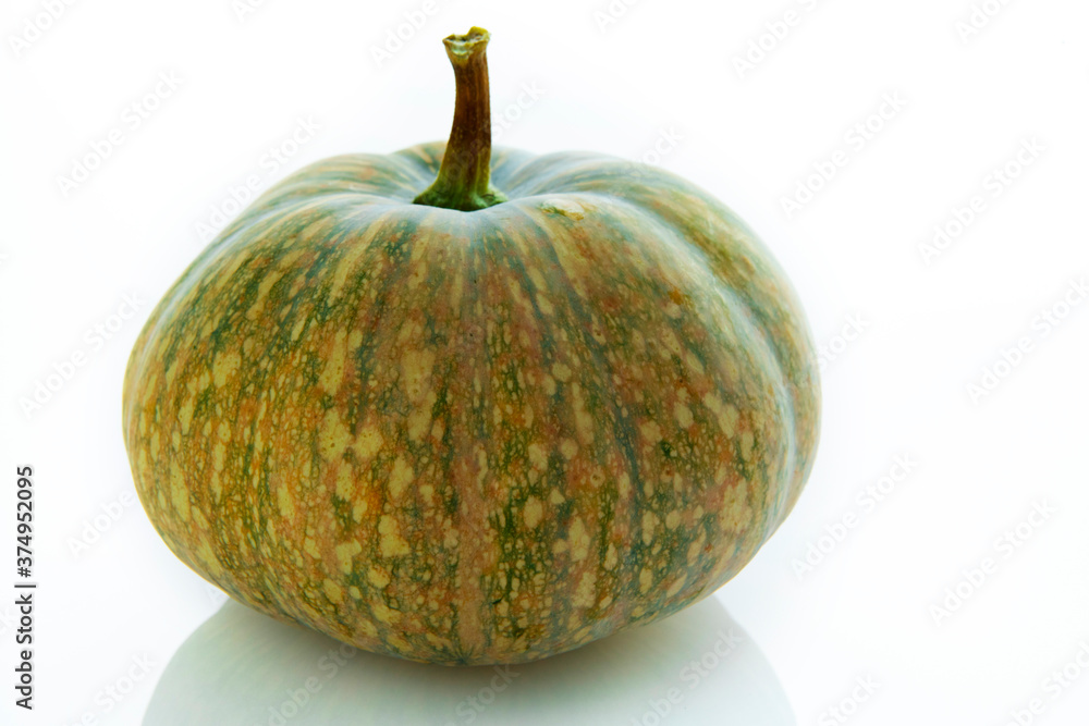 Fresh pumpkin in white background Fresh pumpkin in white background