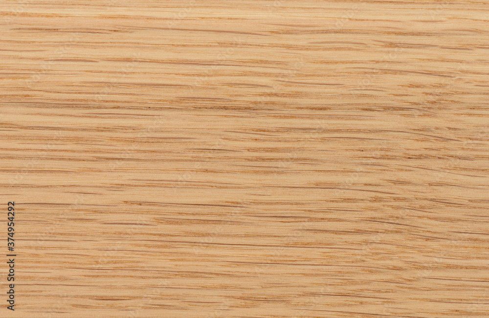 Fototapeta premium background of Ash wood on furniture surface