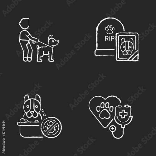 Pet treatment services chalk white icons set on black background. Dog walking, animal washing, professional veterinary examination and funeral service. Isolated vector chalkboard illustrations