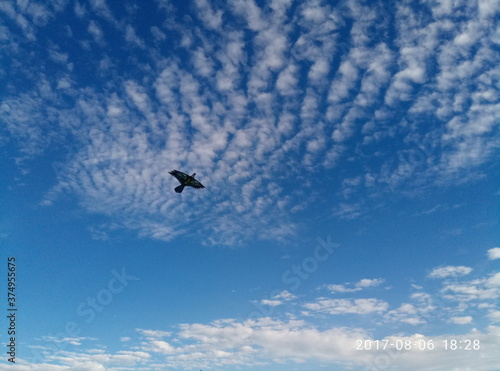 воздушный змей