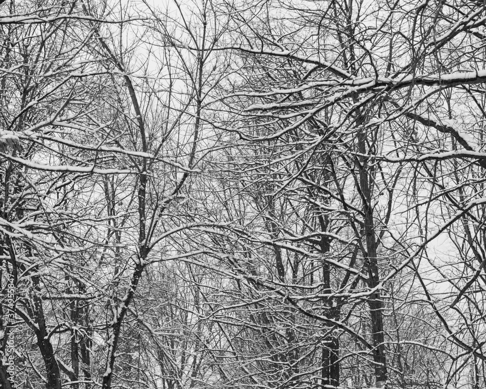 Winter in Bishkek, Kyrgyzstan Winter in Bishkek, Kyrgyzstan