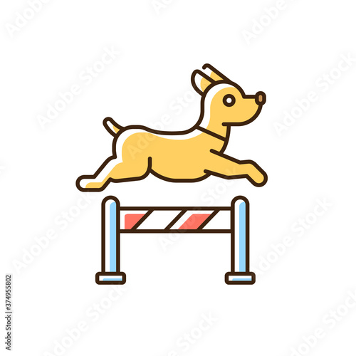 Pet training RGB color icon. Domestic animals taming and discipline education service. Dog preparing for contest, jumping over obstacle isolated vector illustration