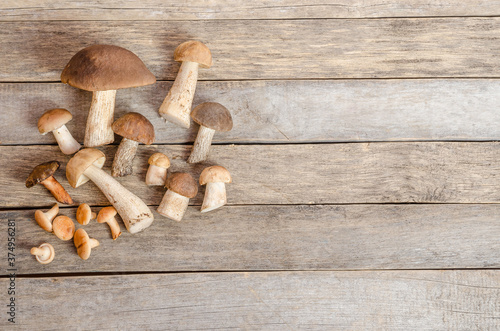 Edible raw wild boletus mushrooms on an old wooden background with copy space.