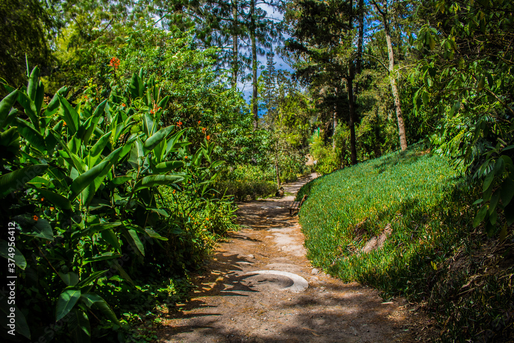 Guapulo Park Quito Ecuador