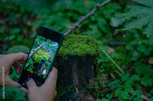 hand holding a mobile phone with green moss