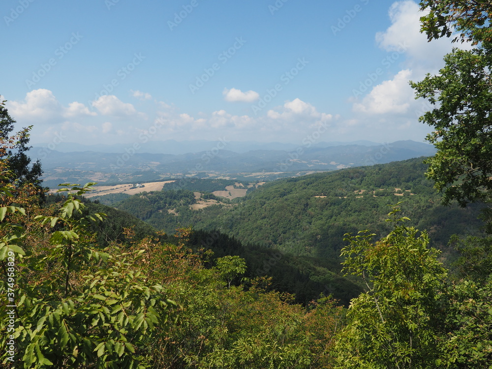Fototapeta premium Panorama