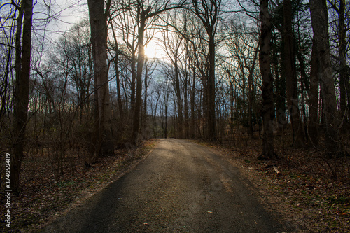 A Blacktop Path in a Dead Winter Forest With a Bright Sunset Behind It © HRTNT Media