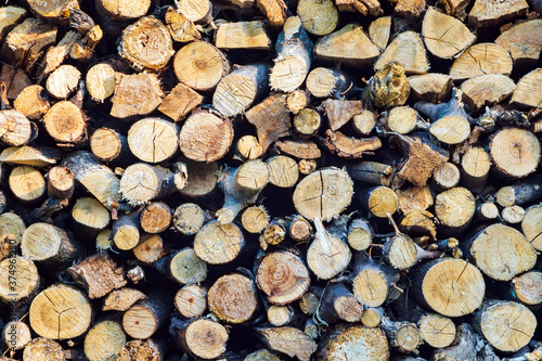 Background of dry chopped firewood logs in a pile oak and pine