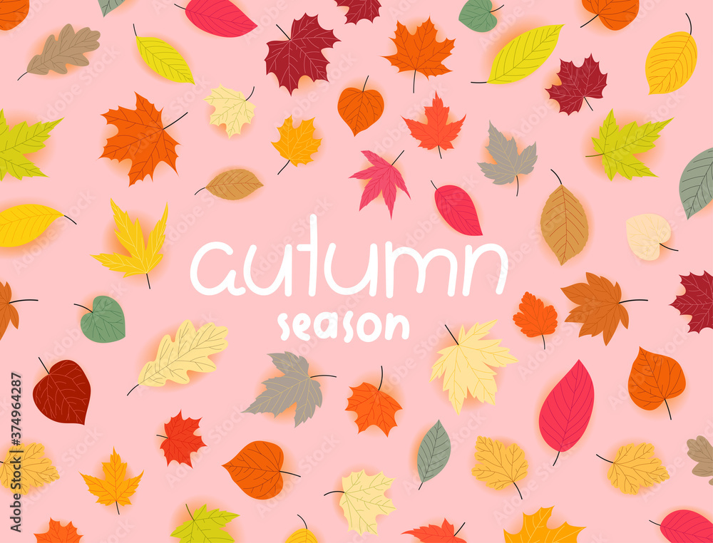 Obraz premium Autumn season vector banner with leaves
