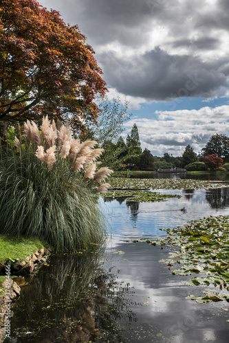 Sheffield Park photo