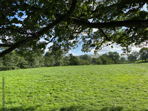 Large open  and empty meadow  with old trees and hills in the distance in  Burton cum Walden  Leyburn  UK