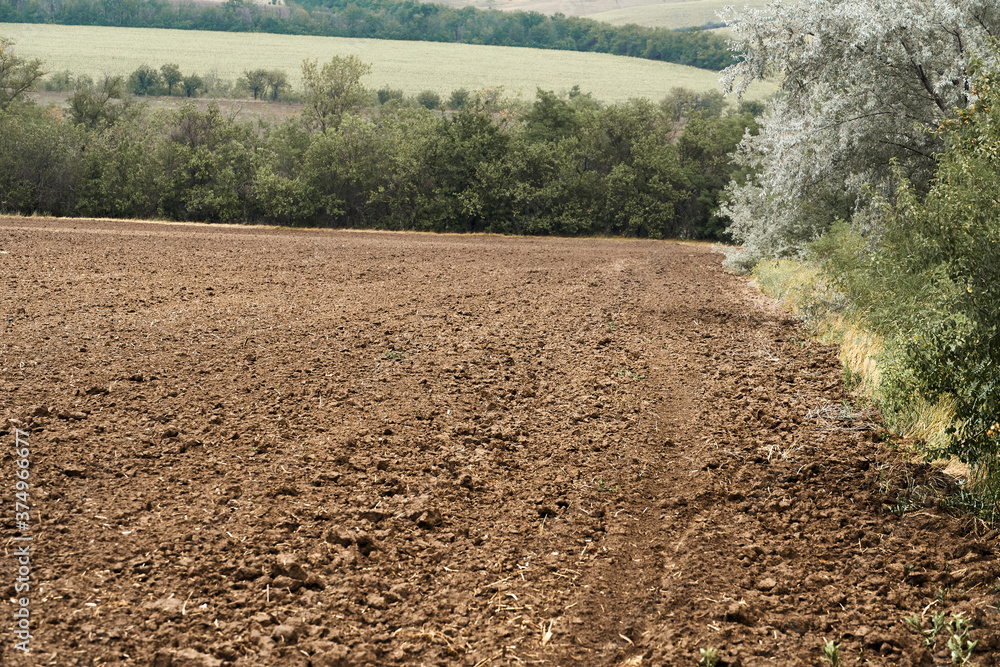 plowed field and blue sky, soil and clouds of a bright sunny day - concept of agriculture plowed field and blue sky, soil and clouds of a bright sunny day - concept of agriculture