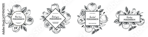 Hand drawn vintage persimmon designs pack. Vector illustration in sketch style.
