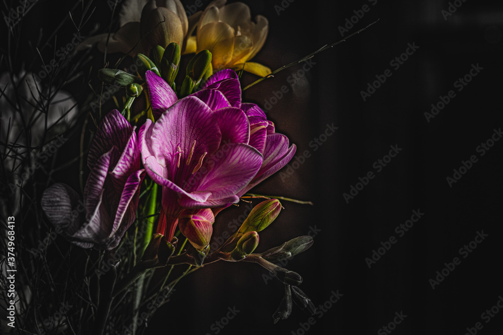 Obraz premium Springtime flowers with black background 