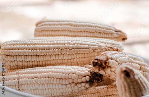 Mazorca de maíz 